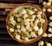 鮮茉莉花怎么炮制成茶？