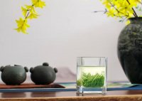 茶藝師證書(shū)含金量？