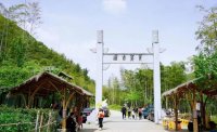 5月12日：徒步貢茶古道，天然氧吧，綠色之旅